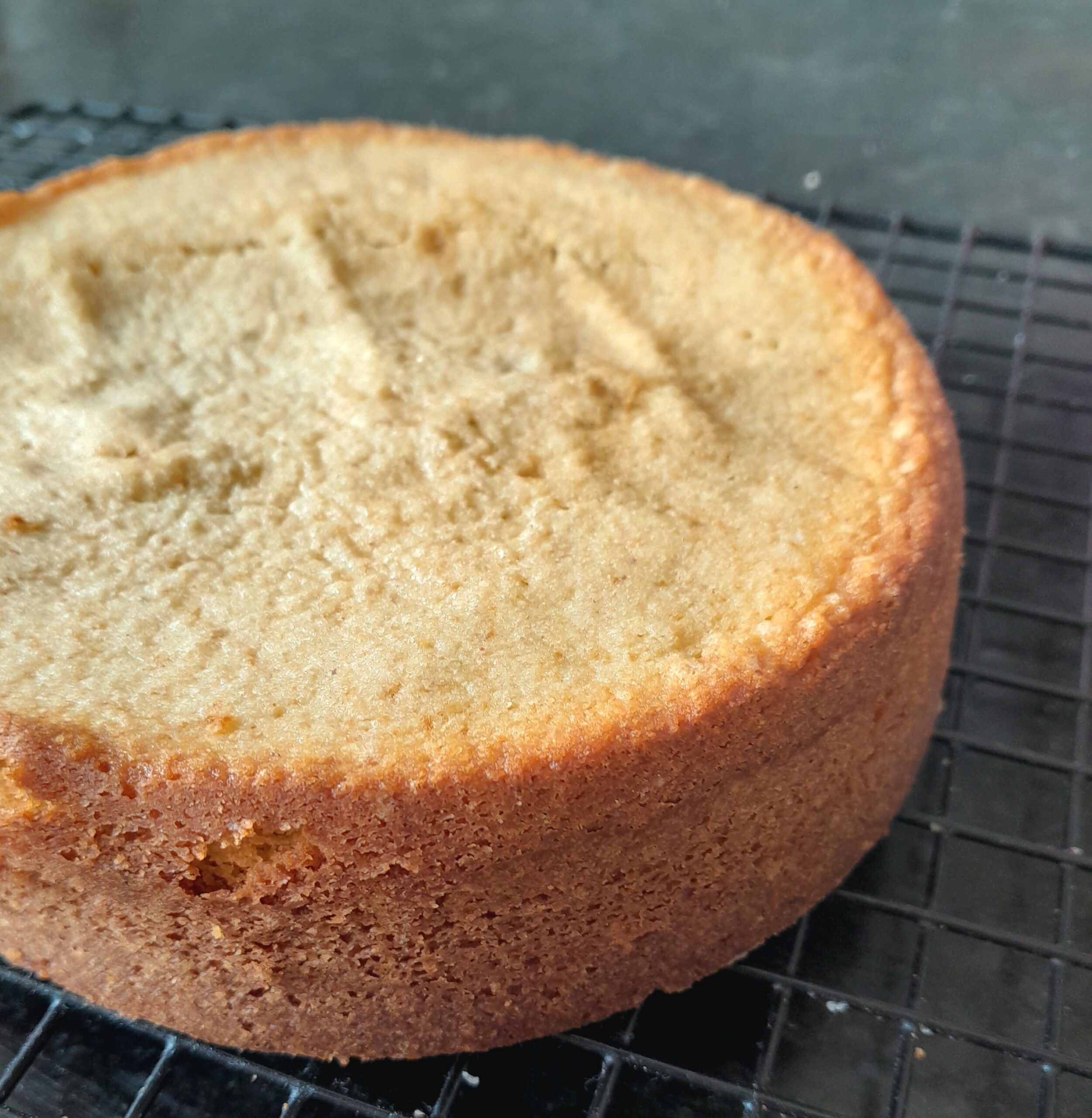 Easy Cinnamon Roll Cake | A Quick and Delicious Cake Recipe